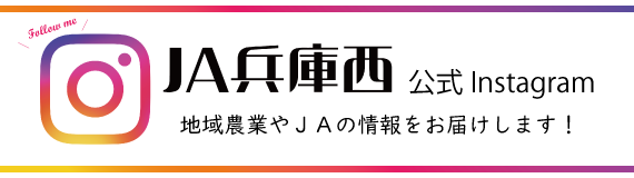 JA兵庫西公式Instagram地域農業やJAの情報をお届けします